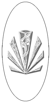 DG5000-602-SL-WT Silver Sunburst White